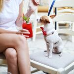 Quer ir para um restaurante e levar o seu pet? Seus problemas acabaram porque separamos 10 lugares pet friendly em São Paulo!